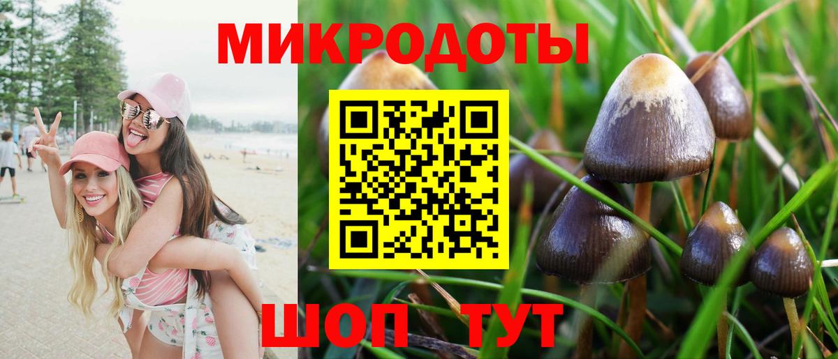 Псилоцибиновые грибы Magic Shrooms  Вход с VPN  Псилоцибиновые грибы мухоморы  Псков 